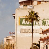 Mallorca_März_2009_321