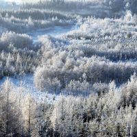 Winterlandschaft_Ampflwang_Dez_2007-18